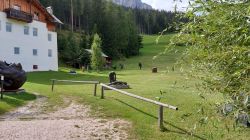 Südtirol 2021 100