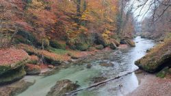 Erlaufschlucht 2021 007