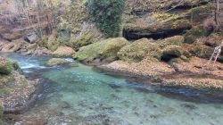 Erlaufschlucht 2021 010